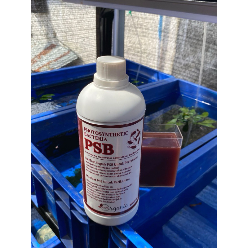 PSB(Photosynthetic bacteria)