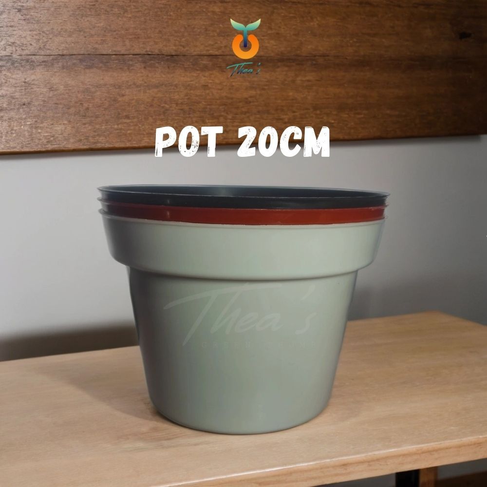 POT PLASTIK 20CM | WARNA HITAM PUTIH TERRACOTTA MERAH BATA | (SUKULEN, KAKTUS, BUNGA TANAMAN LAINNYA