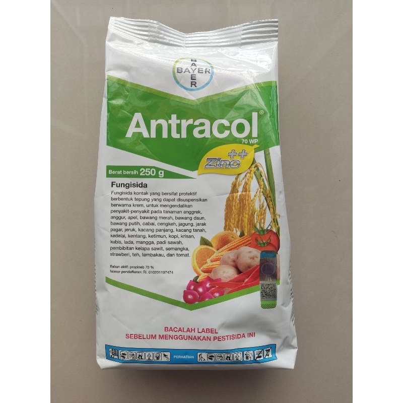ANTRACOL 70 WP 250 Gram