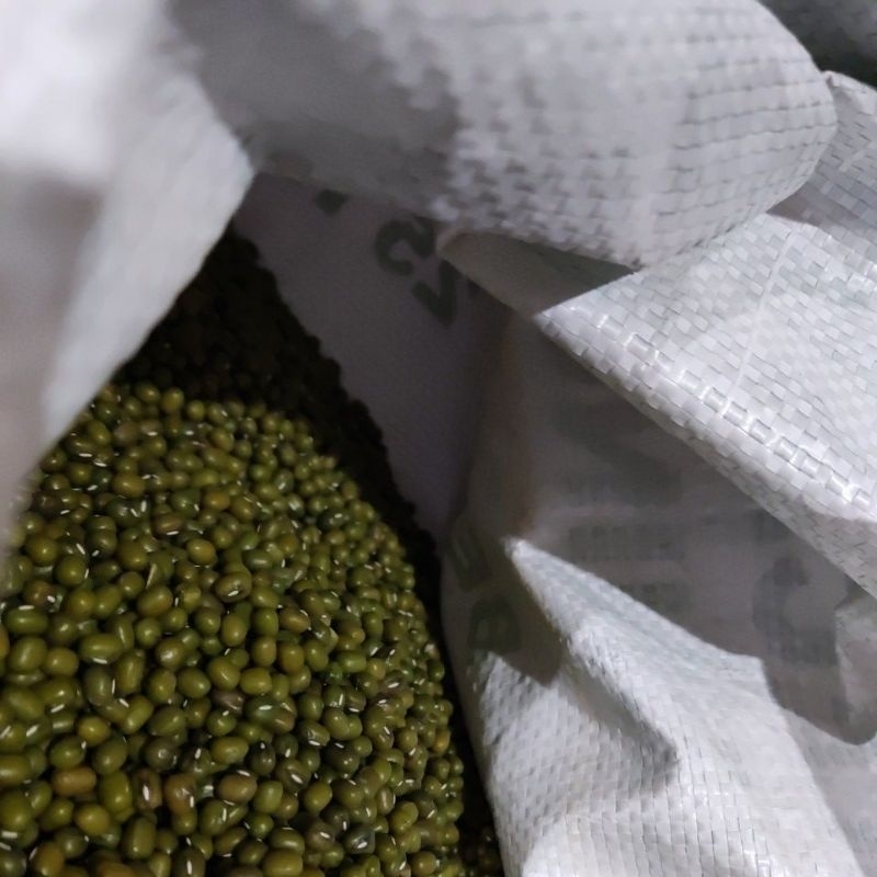 

Kacang hijau gilap 250 gram