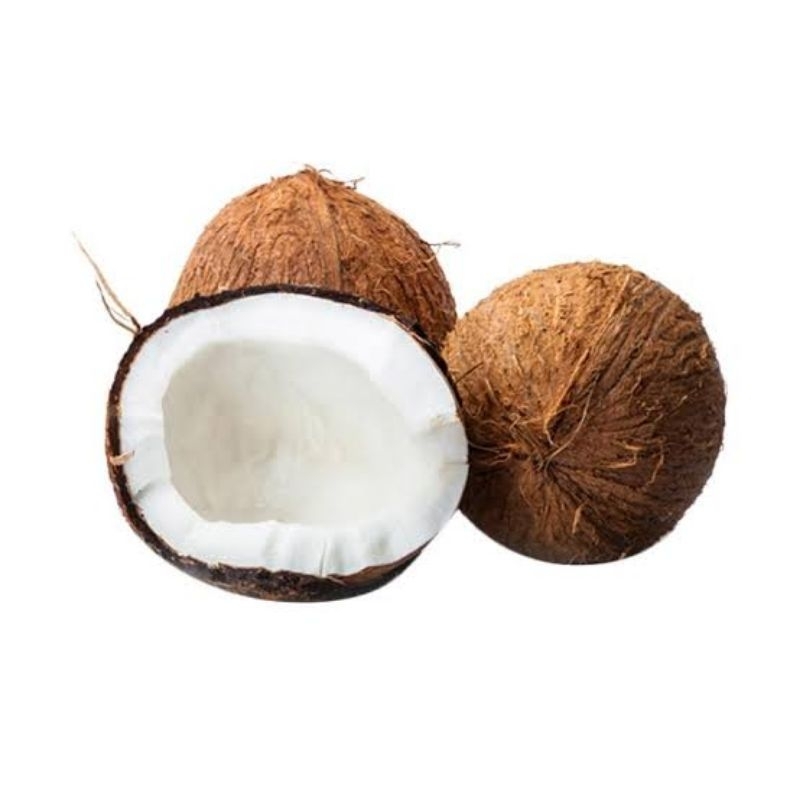 

Kelapa Segar! Manis dan segar langsung dari kebun