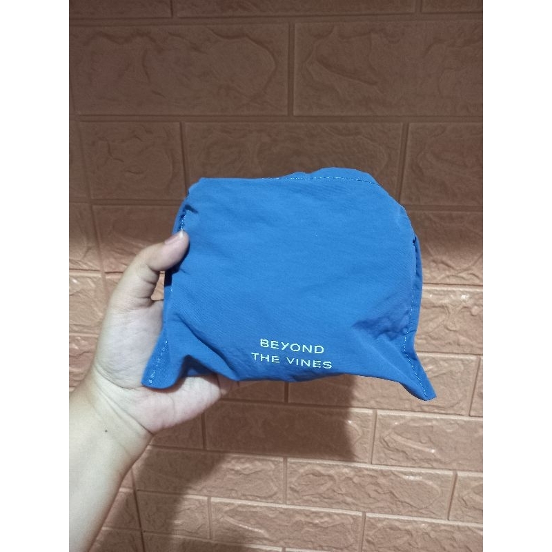 preloved BTV dumpling bag xs cobalt