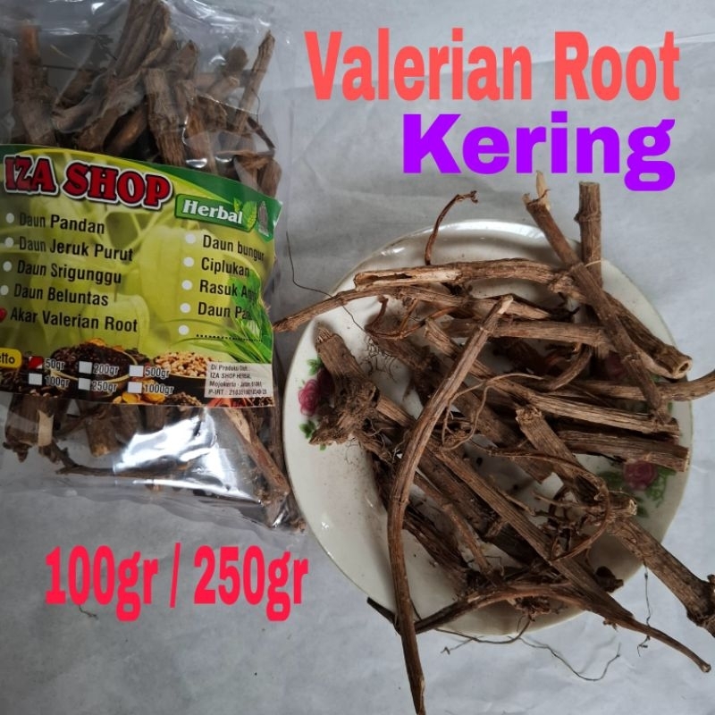 

Valerian Root / Akar Batang Valerian Kering 100/250gr