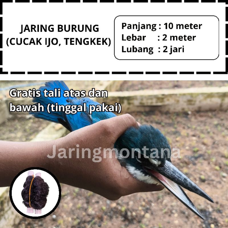 JARING RAJA UDANG BIRU JARING BURUNG TENGKEK PIKAT BURUNG TINGGAL PASANG