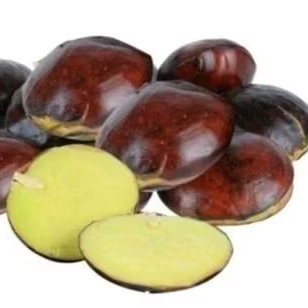 

Jengkol Tua fresh kualitas terbaik//250gr