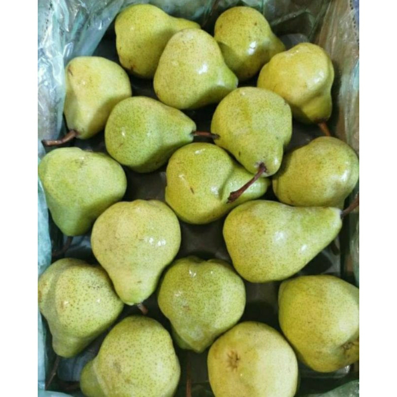 

pier packam 1 kg pier jambu