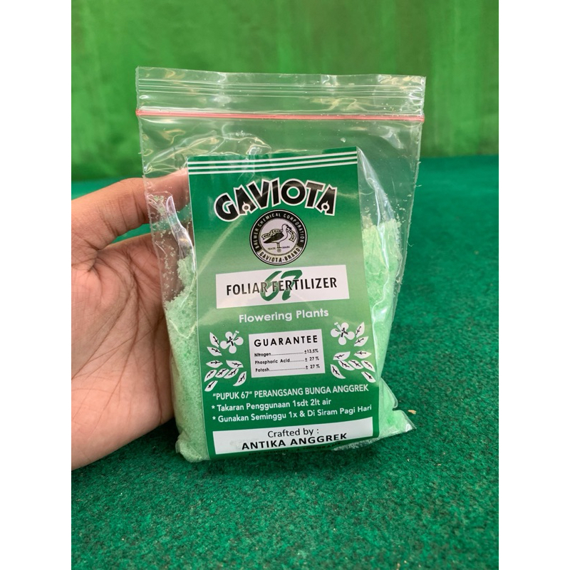 Pupuk Tanaman Anggrek Gaviota 67 - Pupuk Tanaman