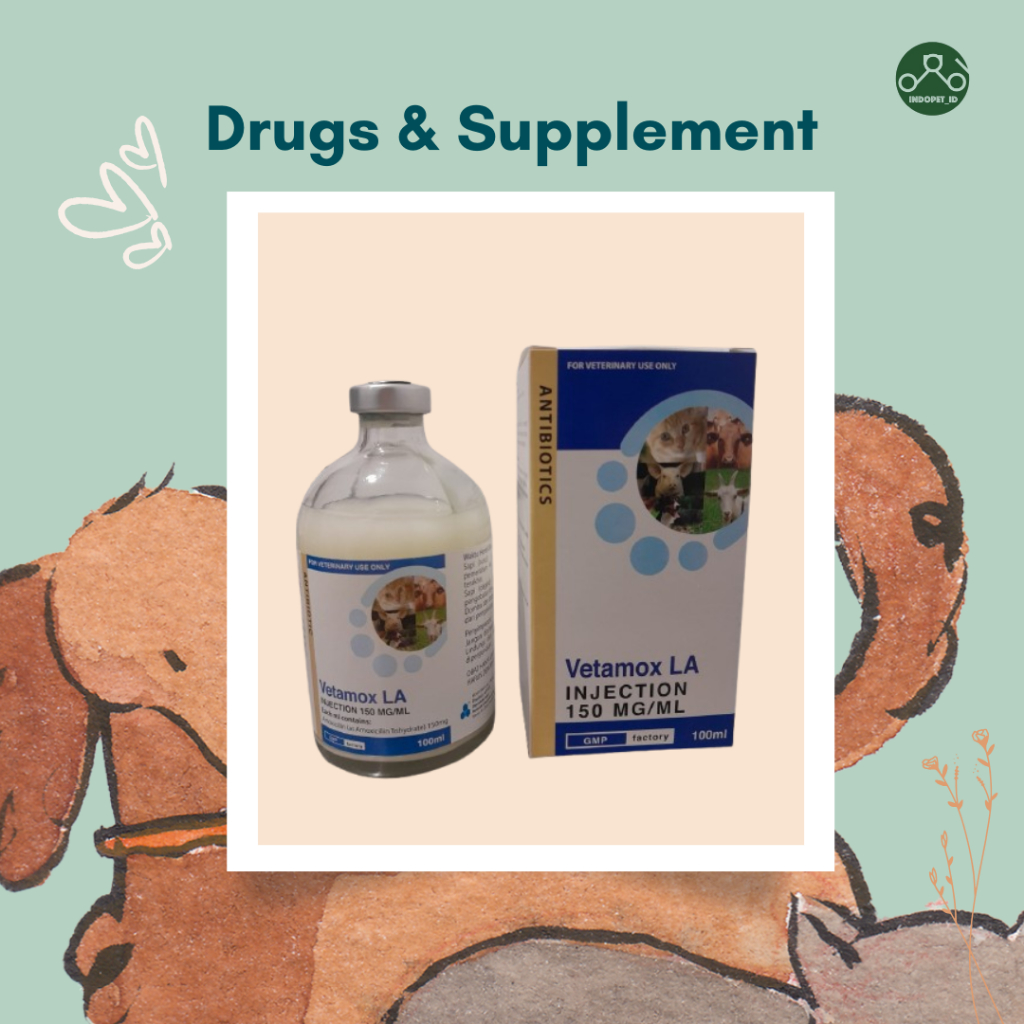 Vetamox LA 100 ml Obat Hewan
