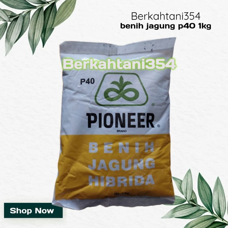 Benih jagung p4 1kg Bibit jagung pioner p 4 original Benih jagung pioneer p4 1kg pioner p35 KODE E5O