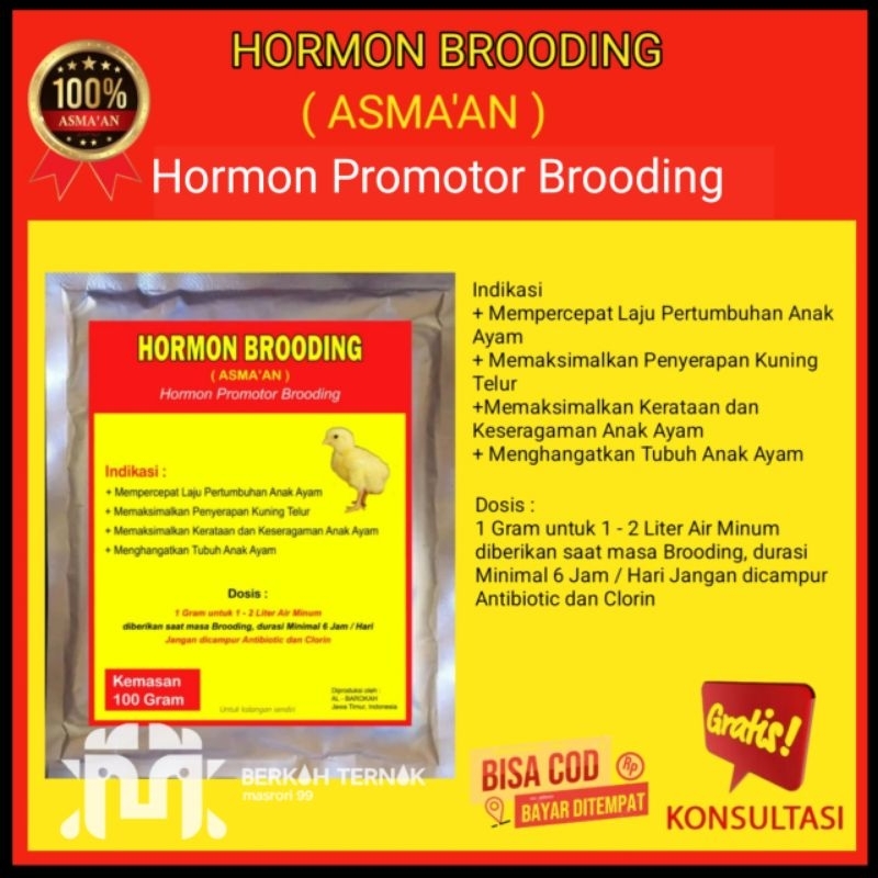 suplemen fase brooding - hormon broding - suplemen doc