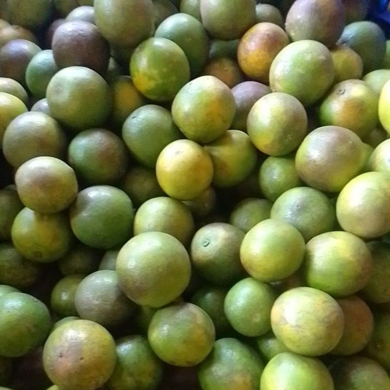 

Ready-Jeruk Baby Java Malang 10Kg (Hijau /Kekuningan Fresh, Manis)