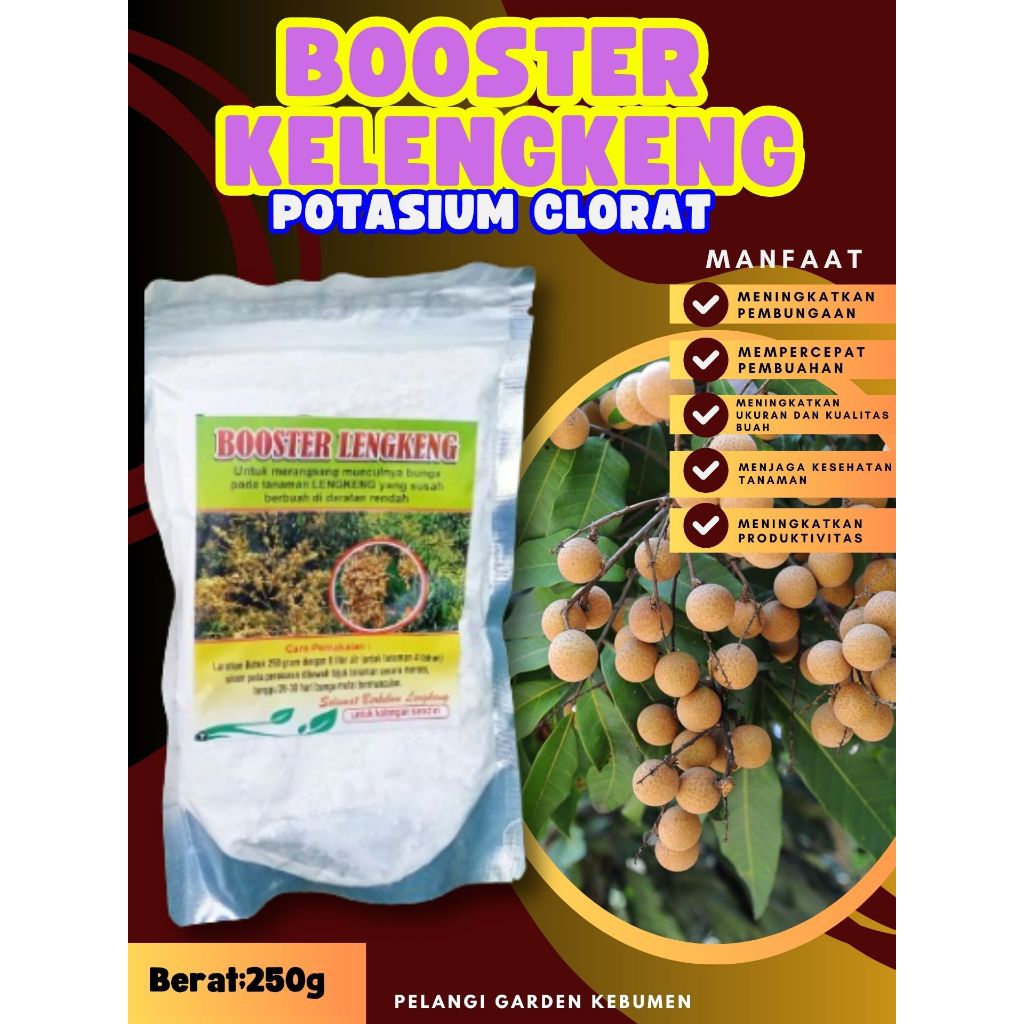 PALING LARIS  Booster Buah Kelengkeng Murni, Booster Buah Kelengkeng Murni 1Kg, Booster Buah Kelengk