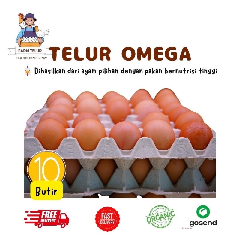 

TELUR AYAM OMEGA MURAH ISI 10 BUTIR