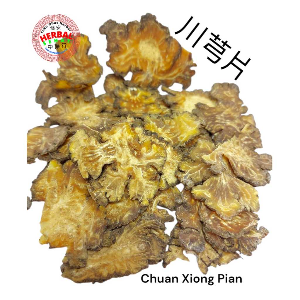 Cuan Kiong 50 Gram Chuan Xiong - Chuan Kiong / Chuan Xiong / Sichuan Lovage Cuan Kiung Fresh