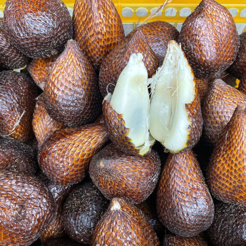 

salak pondoh 1 keranjang 5kg seger