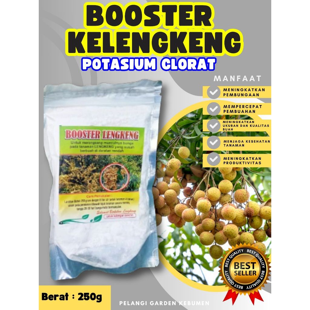 PROMO  Boster Kelengkeng Pingpong, Boster Kelengkeng Pingpong Berbuah, Boster Kelengkeng Puangray250