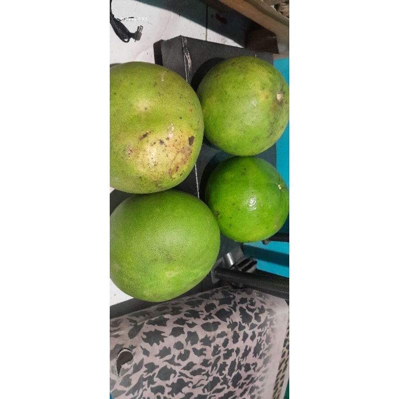 

jeruk bali size jumbo|-+2kg|bumil suka nyidam|buah segar