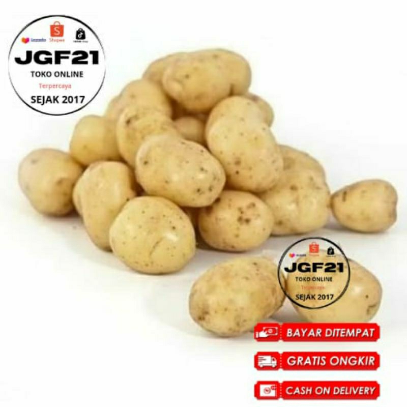 

Terlaris No.1 Kentang Dieng Super Sedang 500Gr - Kentang Bahan dapur sayuran serba jadi makanan sayuran