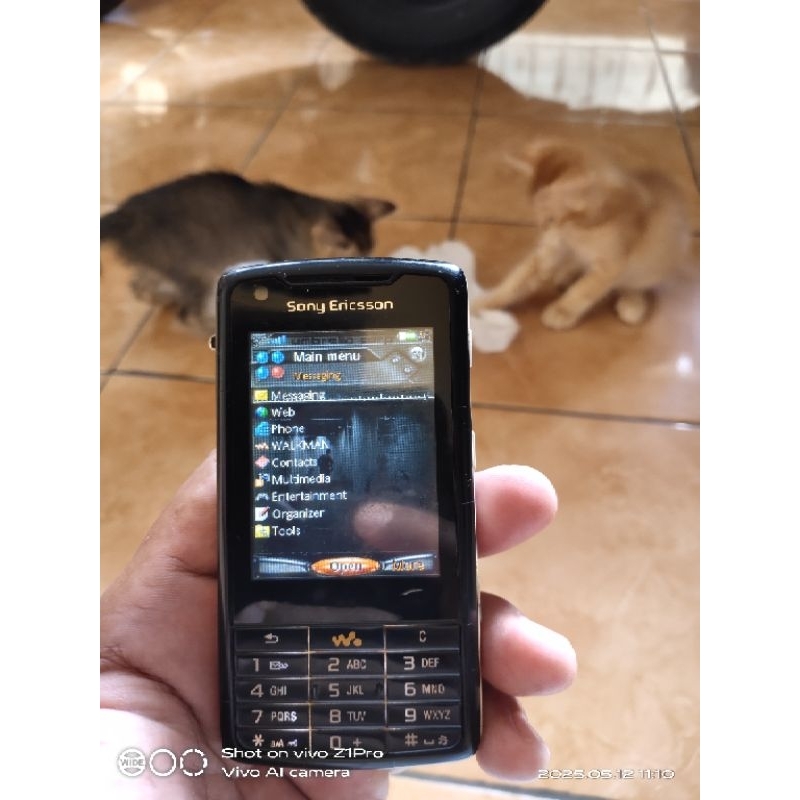 Sony Ericsson W960i