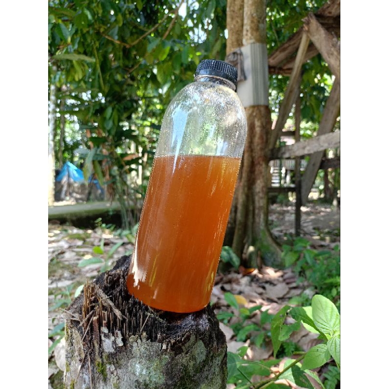 

madu asli sialang ukuran 1000g (1kg)