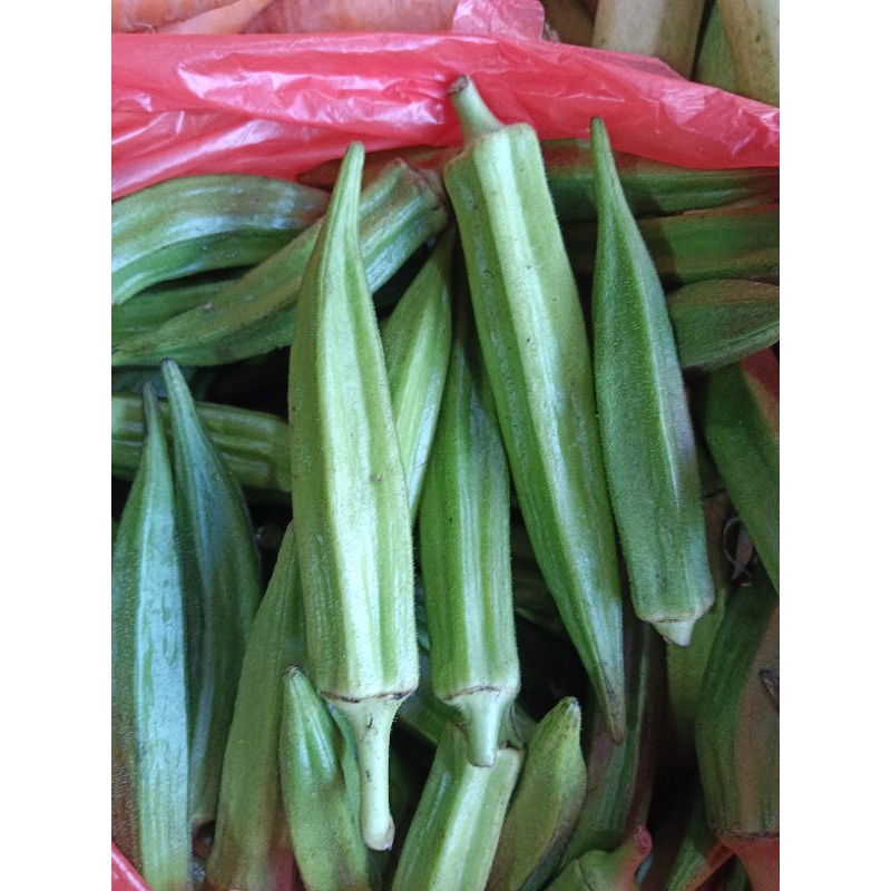 

Sayuran Okra
