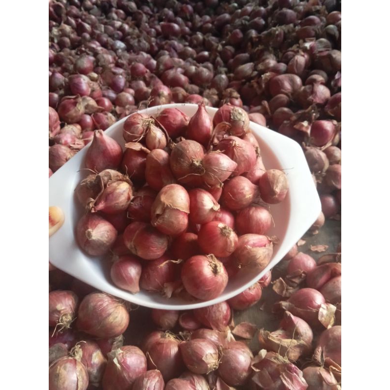 

bawangmerah