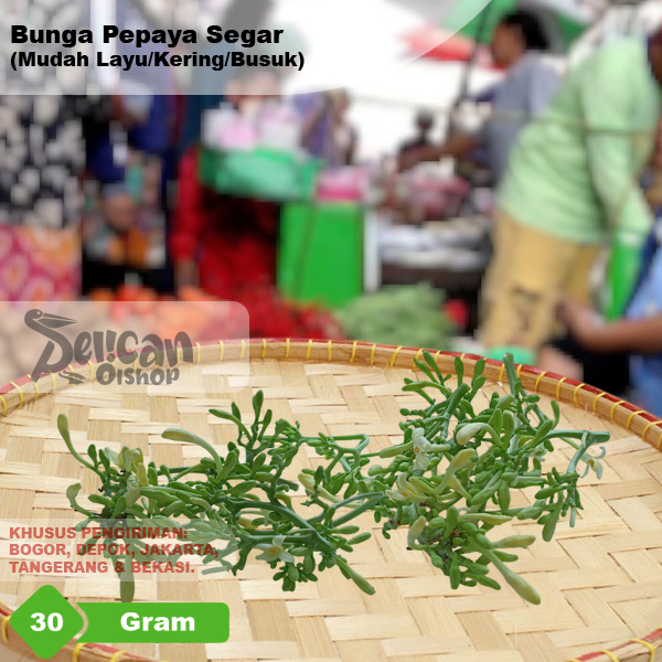

Bunga Pepaya Segar Per 30 Gram Petik Dadakan