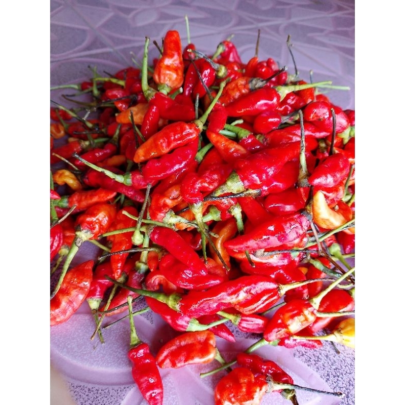 

Cabai Rawit Fresh/Cabai Lokal kualitas terbaik