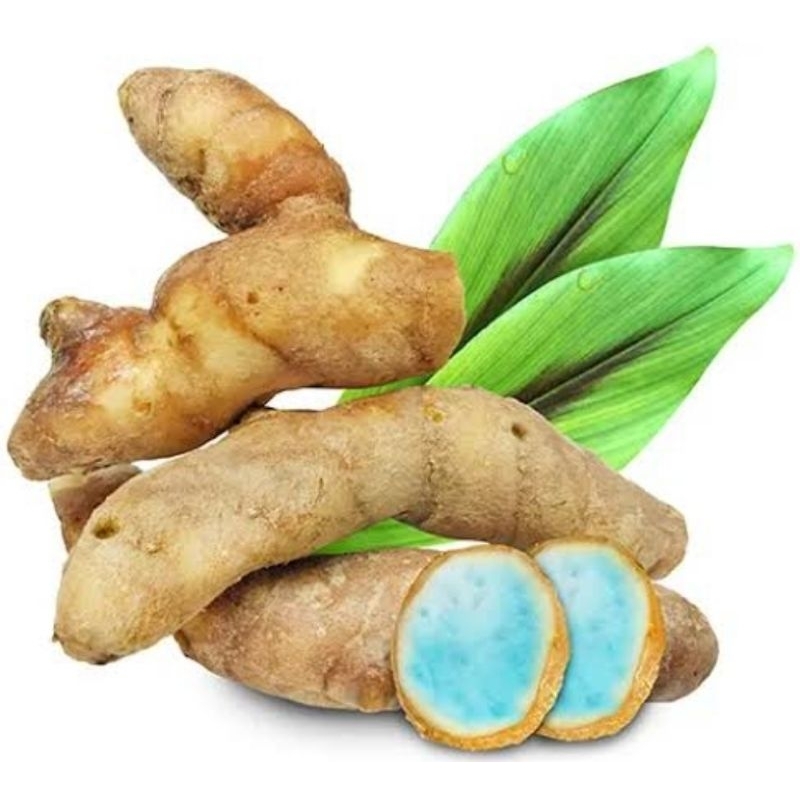 

Kunyit hitam segar temu Ireng segar 500 gram-az