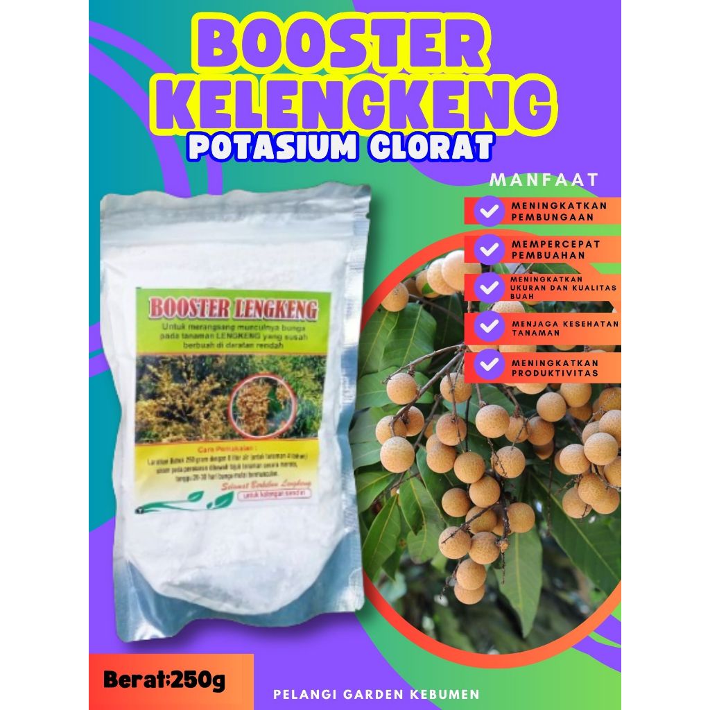 DIJAMIN ASLI  Boster Kelengkeng Puangray, Boster Kelengkeng Puangphet, Boster Kelengkeng Pingpong Ca