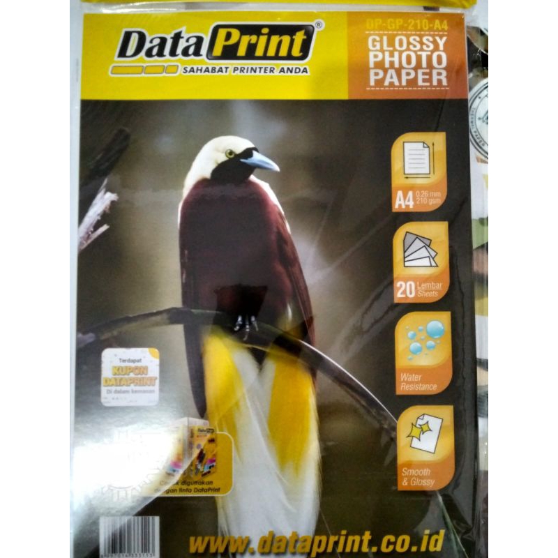 

Kertas Foto A4 Data Print Glossy Photo Paper 210GSM