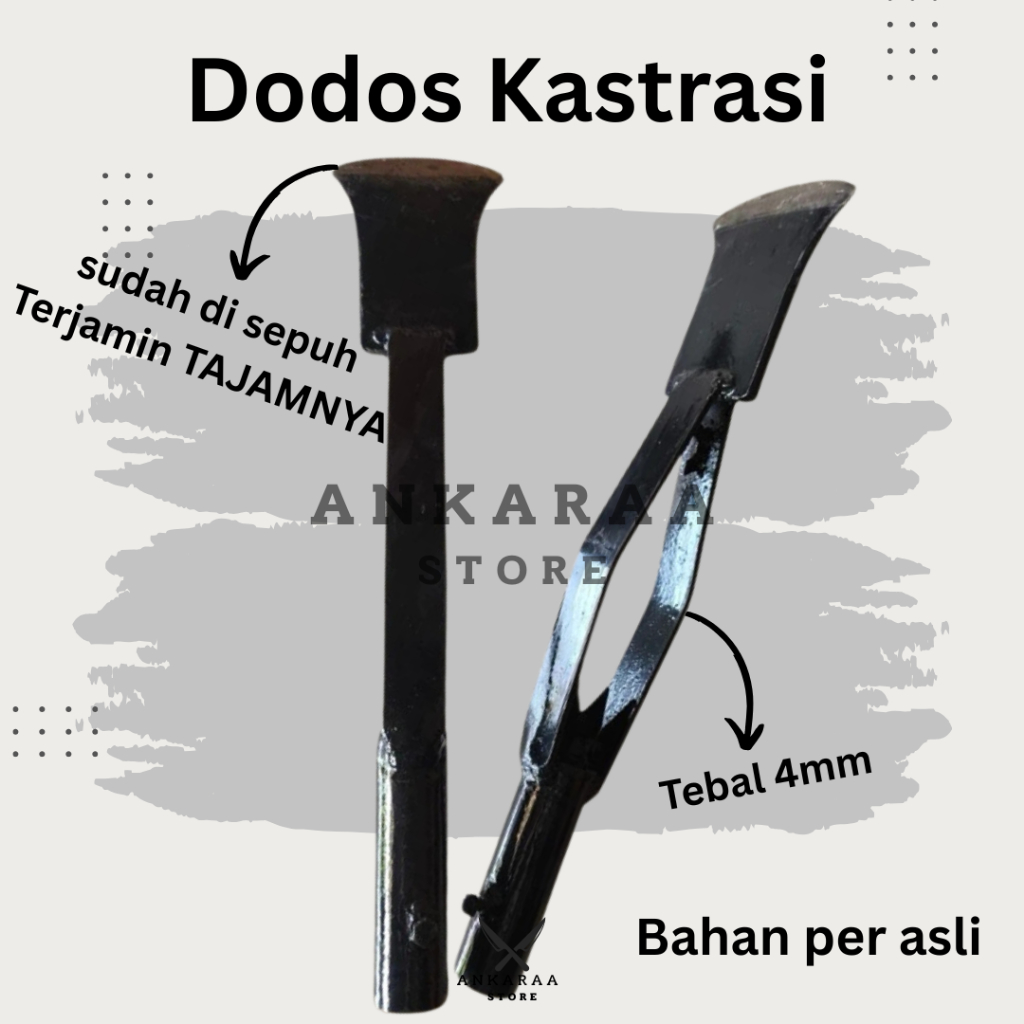 DODOS KASTRASI ORIGINAL ASLI SUPER TAJAM/DODOS SAWIT KASTRASI BAHAN PER BAJA ASLI TEBAL