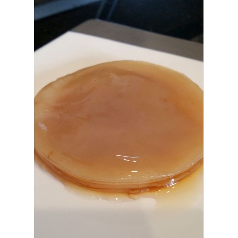 

scoby kombucha bulat sempurna tebal besar