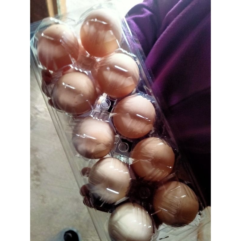 

(ISI 10) Telur Ayam Kampung Konsumsi