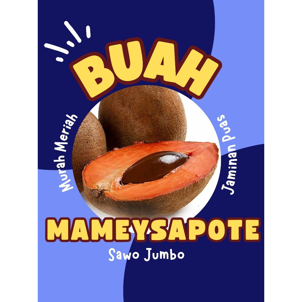 

PALING DICARI !! Buah Langka Sawo Jumbo Mamey Sapote