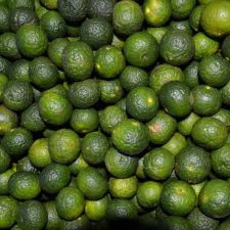 

Jeruk Limau 250 gram