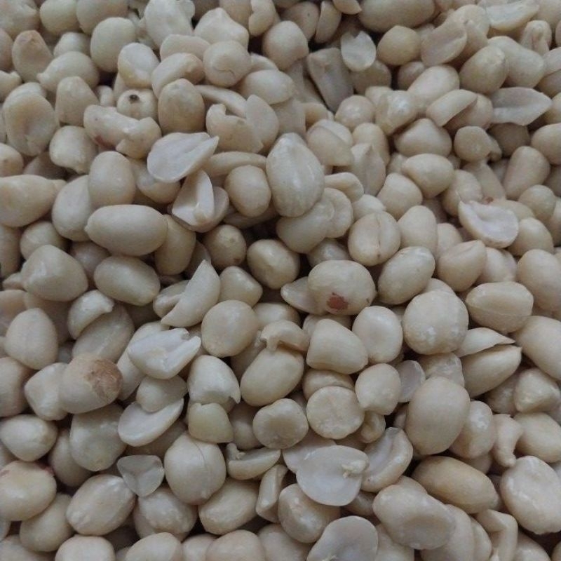 

Kacang Kupas Ukuran sedang kemasan 1 kg