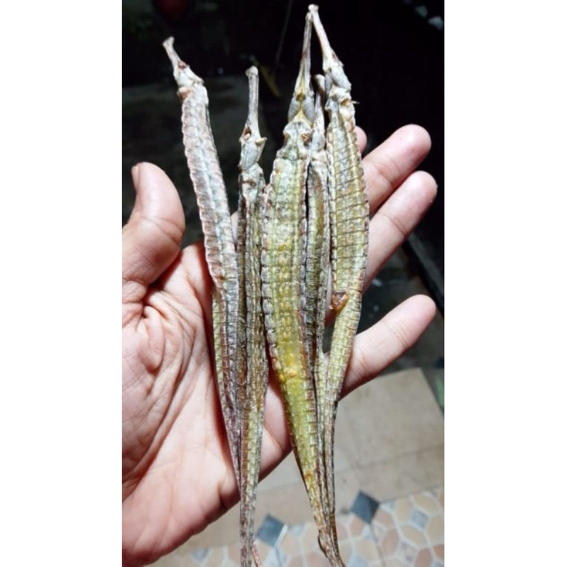

Naga Laut Hai Long Grade A Promo