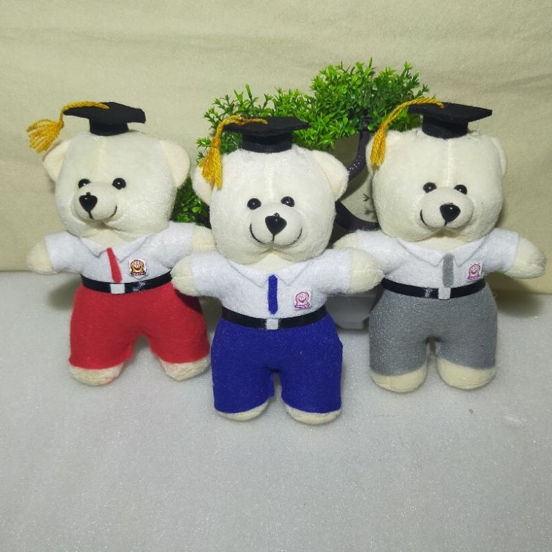 BONEKA BERUANG BUKET MINI WISUDA ANAK SD SMP SMA GURU. VIRAL MURAH