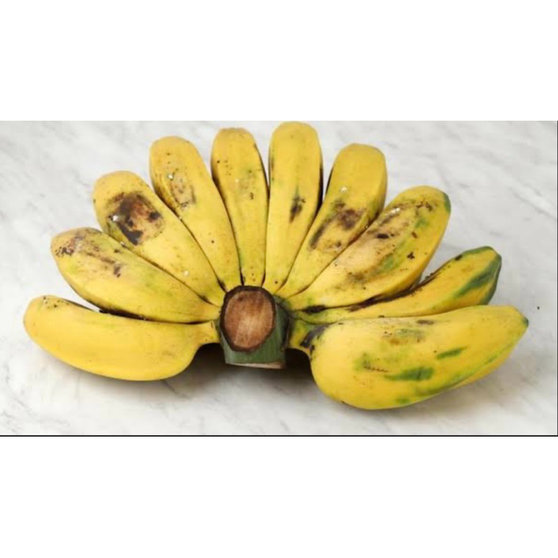 

PISANG KEPOK ORGANIK