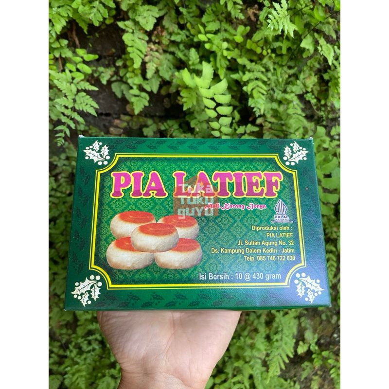 

Pia Kacang Hijau Isi 10 Biji