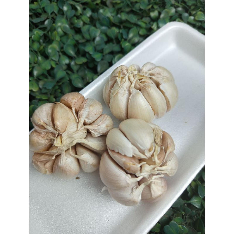 

Bawang Putih 250gram 500gram 100gram