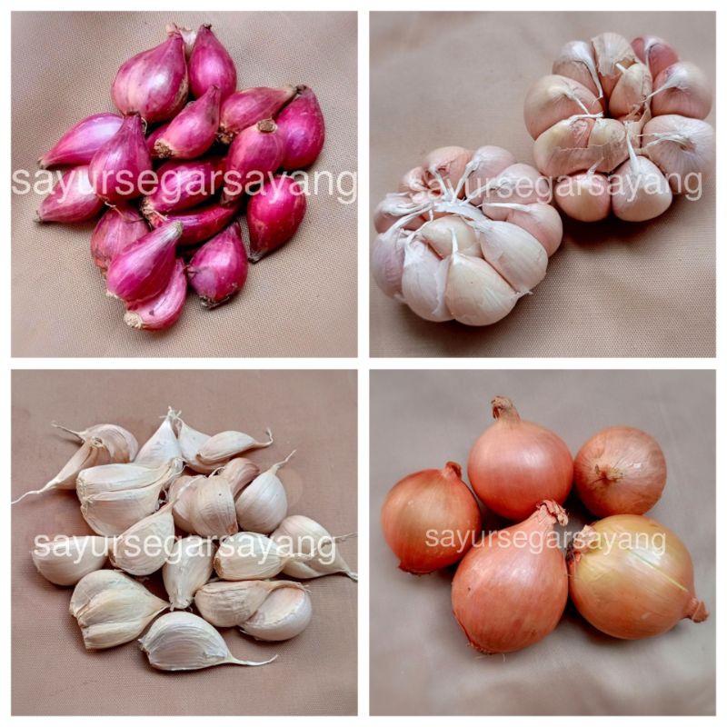 

Bawang Merah 250 gr / Bawang Putih / Bawang Bombay / Bawang Kating