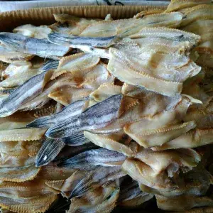 

ikan asin gabus