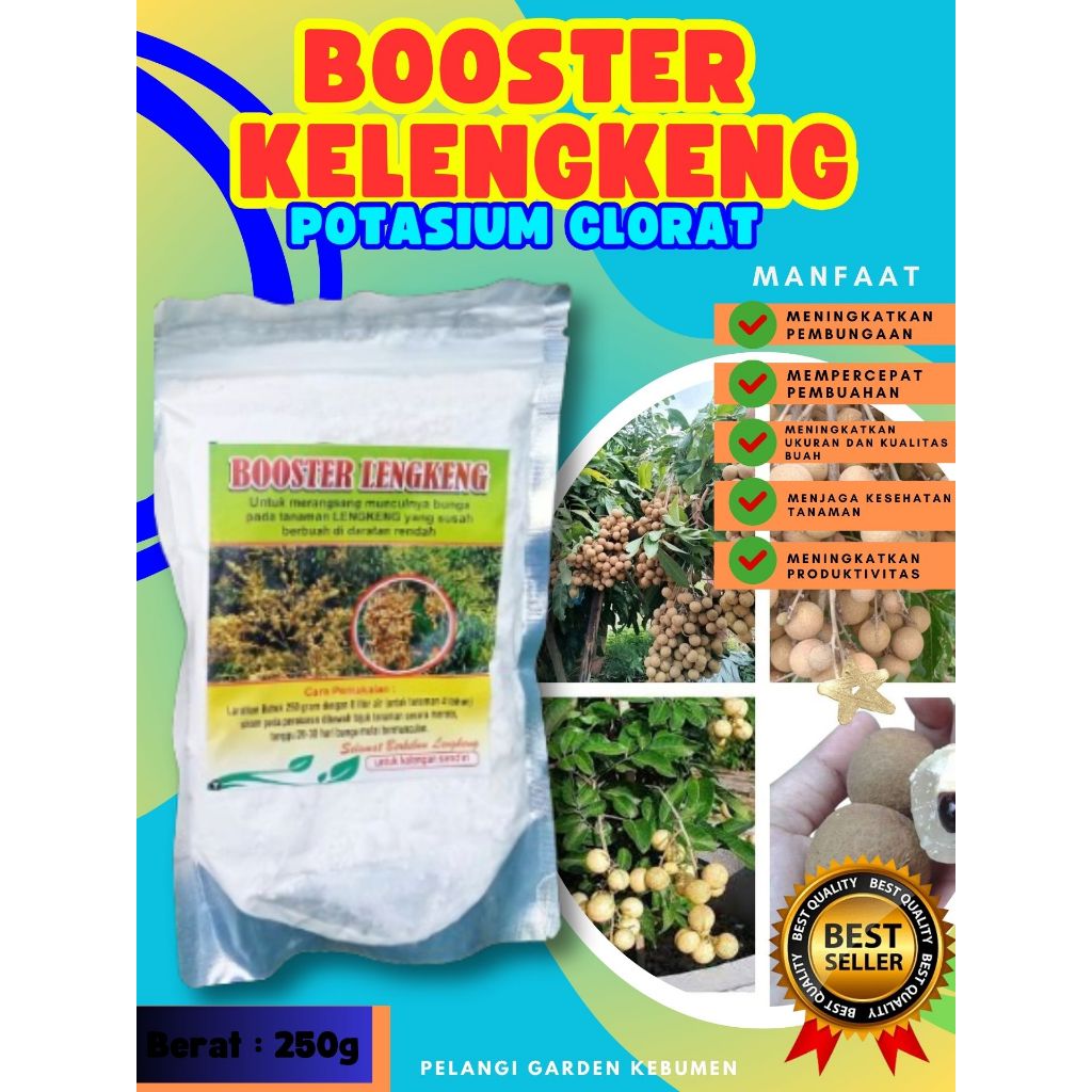 UNGGULAN  Booster Kelengkeng Stek, Booster Kelengkeng Terbaik