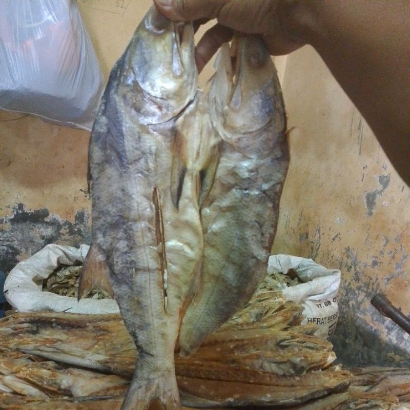 

ikan asin senangin harga perkilo