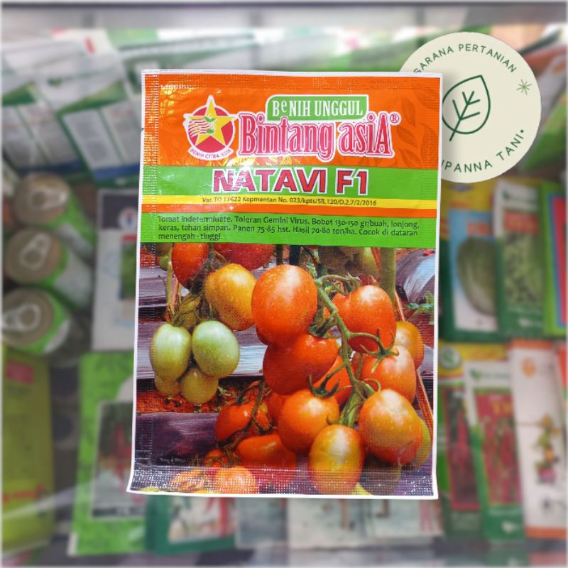 NATAVI F1 10GR – BENIH TOMAT UNGGULAN | BENIH TANAMAN TOMAT | BIBIT TOMAT