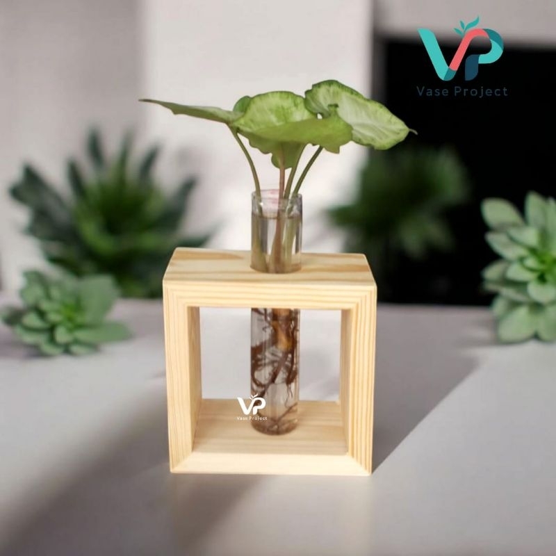 Paket Vas Bunga Pot Botol Kaca Kayu Dengan Tanaman Hias Syngonium Phodophyllum Tanaman Asli Hidup