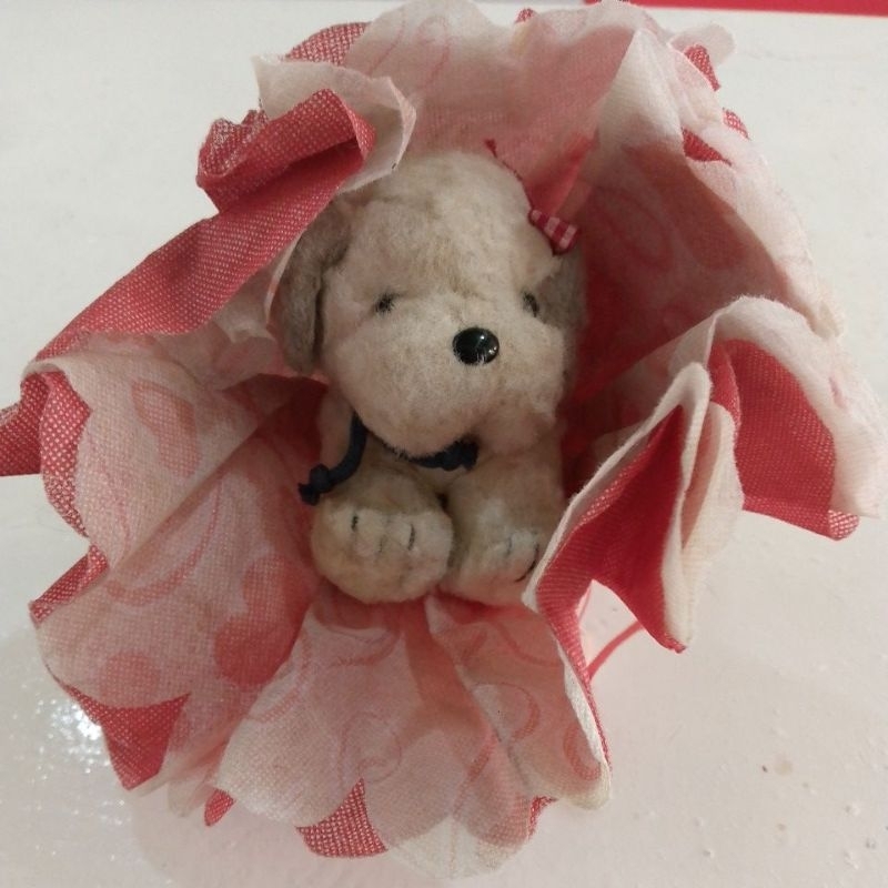 buket boneka anjing mini