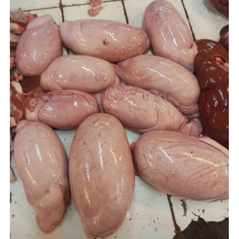 

Torpedo Sapi Lokal Kemaluan / Beef Groin / Biji Kelamin